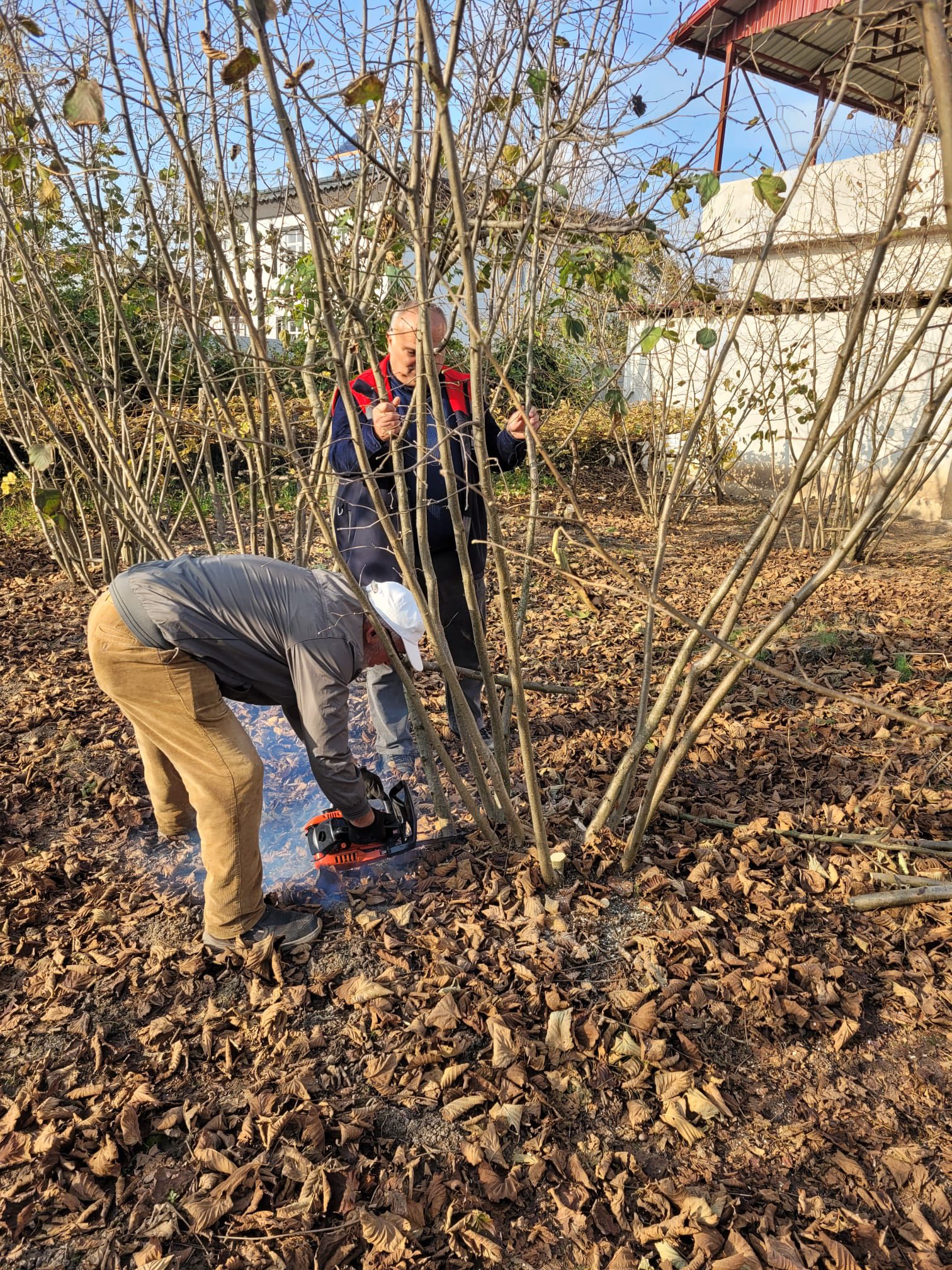 589077180 122284099148198136 2979834699110558023 n