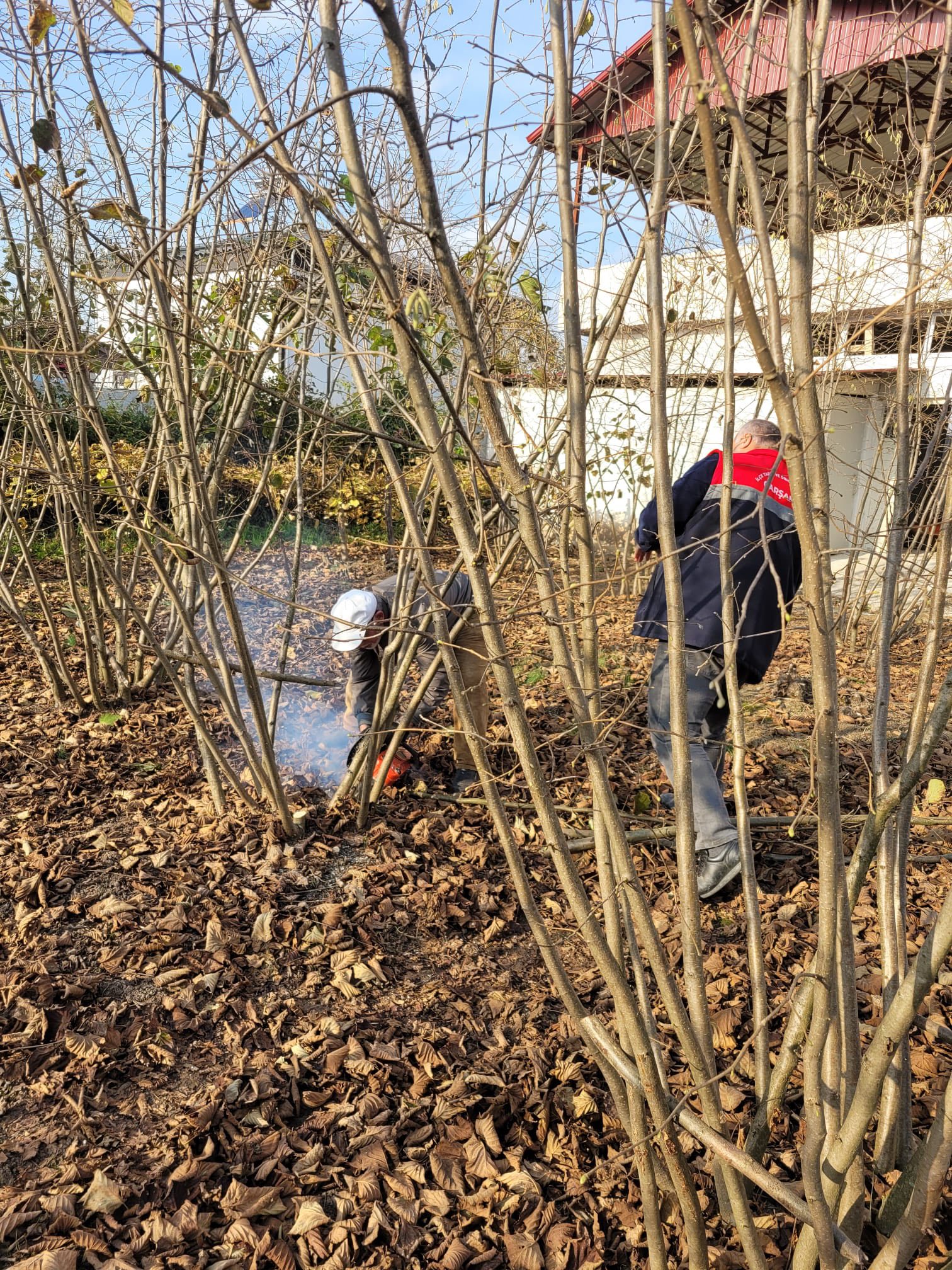 589414792 122284099112198136 2813029909754029310 n