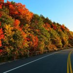 Eski nişanlısını öldürdü, 300 kilometre bagajda taşıdı