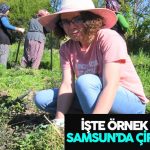 İŞTE ÖRNEK KADIN SAMSUN’DA ÇİFTÇİ OLDU 45 t6