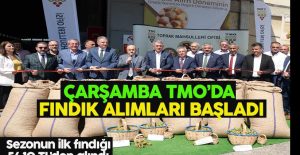 Otomatik taslak