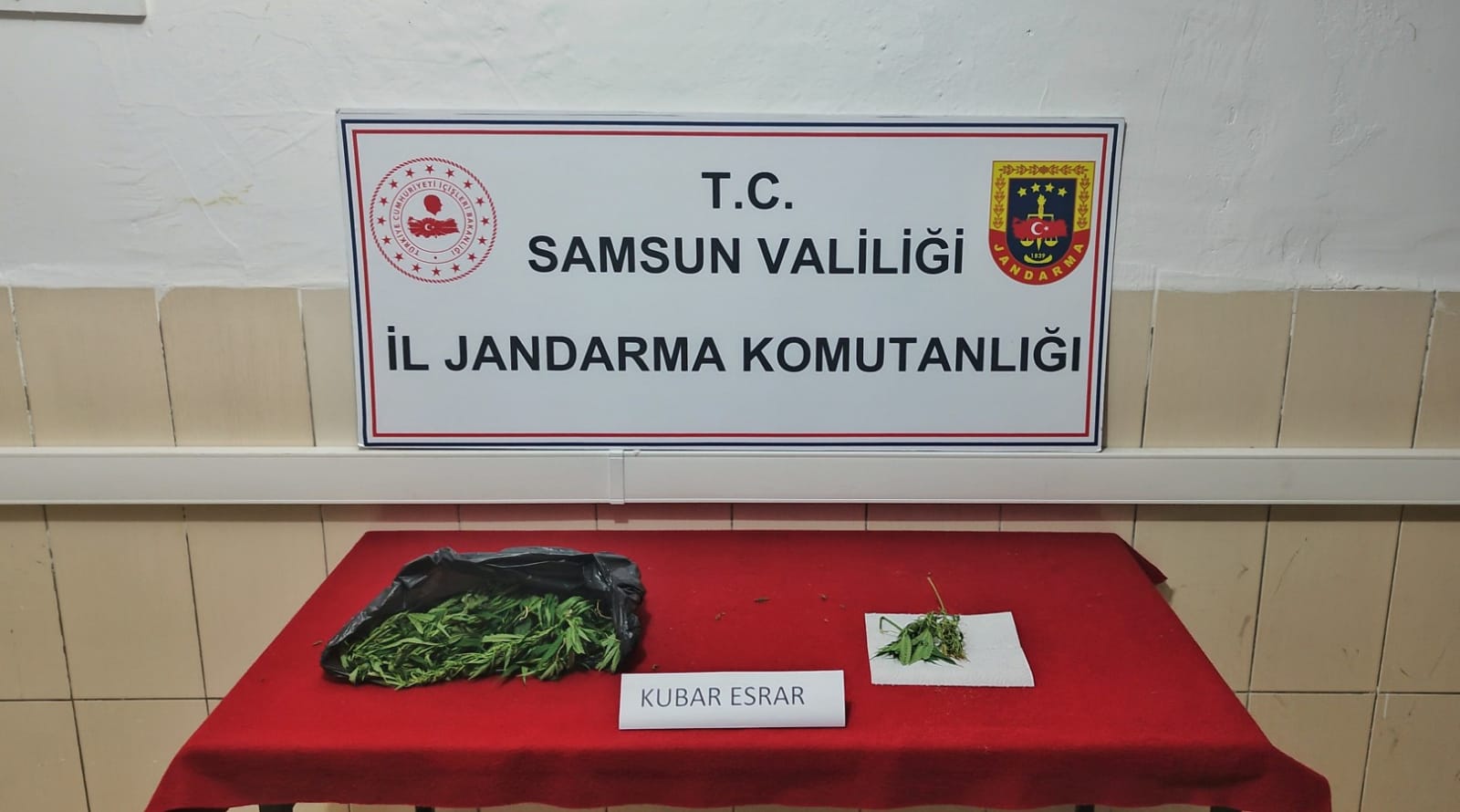 ebaede93-6df5-48cc-ad95-9100df57c39c