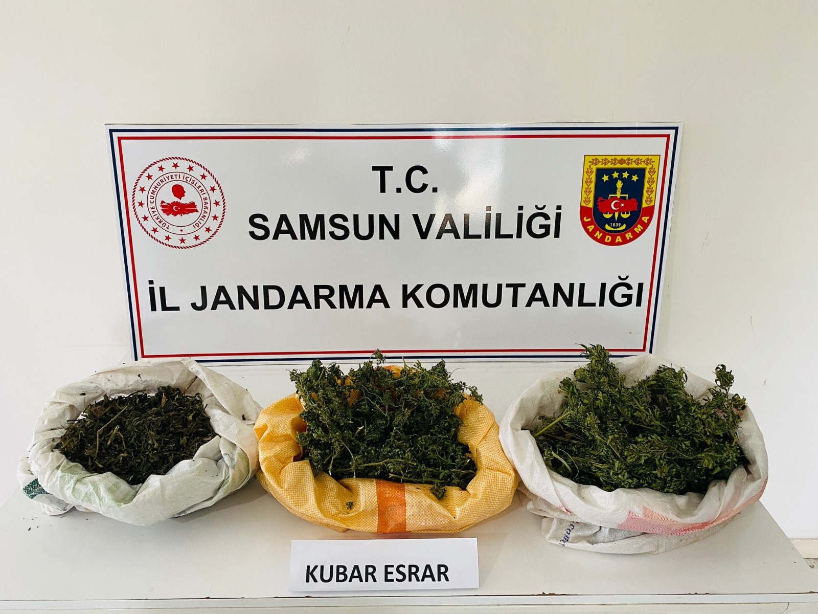 ead7c747-79c1-4de7-b4bf-f996c0f246b3