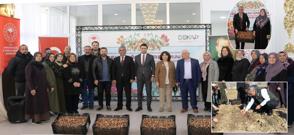 <strong>LADİK’TE LALE SOĞANI DAĞITIMI VE DİKİMİ GERÇEKLEŞTİRİLDİ</strong> 4 Lale Ladik KAPAK 1