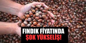 ŞŞŞŞŞŞŞ