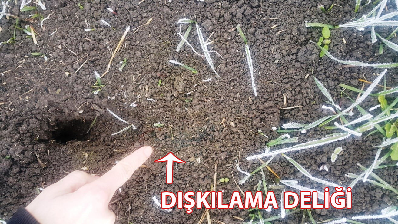 TF4 Diskilama Deligi