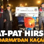 d0b196e0-984b-47b1-a354-8dddb14c1e61