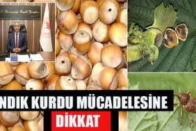 FINDIK KURDU MÜCADELESİNE DİKKAT 8 FIG
