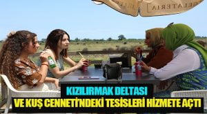 Başlıksız-1