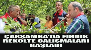 Başlıksız-1