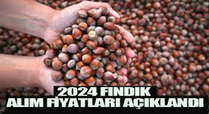 Başlıksız-1