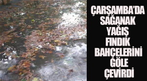 Başlıksız-1-Kurtarıldı