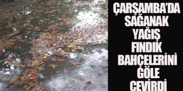 Başlıksız-1-Kurtarıldı