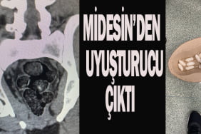 Başlıksız-1-Kurtarıldı