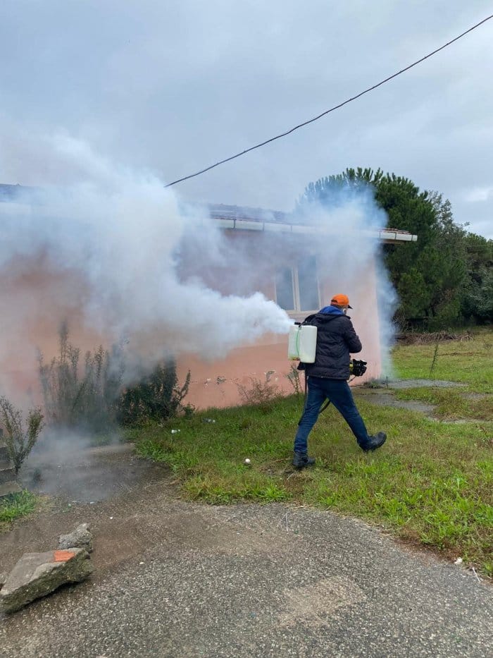 ÇARŞAMBA'DA KAHVERENGİ KOKARCA İLE MÜCADELE DEVAM EDİYOR 1 463487405 122198411558198136 8114781055699592725 n