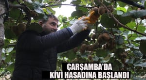 JPOIK