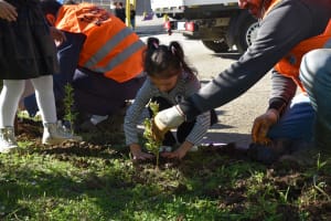 MINIK OGRENCILER ATATRUKU FIDAN DIKEREK ANDI 7