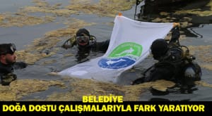 TM