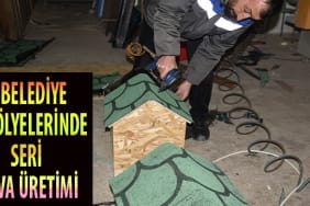 SOKAKTAKİ CANLARA BARINMA DESTEĞİ 4 Başlıksız-1