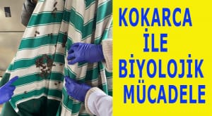 Başlıksız-1