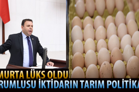 YUMURTA ARTIK SOFRADA DEĞİL, KUYRUKTA! 2 TM