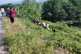 3b070027-5247-4d23-8555-c017dd8950c1