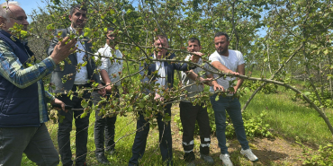 495540853_1217999986780525_5450396314432408389_n