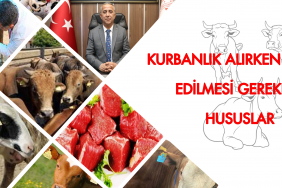 61083458_2830423210332023_1130414149398953984_n