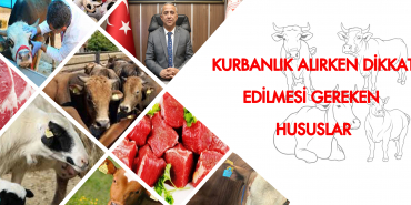 61083458_2830423210332023_1130414149398953984_n