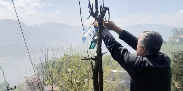 Feromon Tuzaklarla Etkin Mücadele 10 CANİK BLD HABER 21-05-2025 (4)