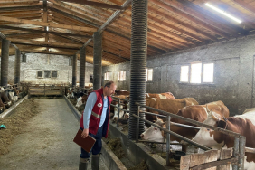 f538988f-eb66-493f-b9af-f2a8a7648408