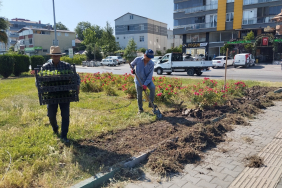 584a5e49-dc14-4f77-a839-dce5bcb67ed0