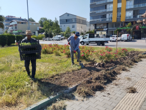 584a5e49-dc14-4f77-a839-dce5bcb67ed0