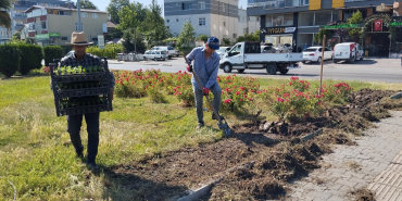 584a5e49-dc14-4f77-a839-dce5bcb67ed0