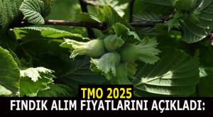 Başlıksız-2