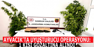 AYVACIK’TA UYUŞTURUCU OPERASYONU: 1 KİŞİ GÖZALTINA ALINDI 2 tbn