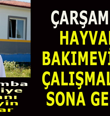 ÇARŞAMBA HAYVAN BAKIMEVİ’NDE ÇALIŞMALARDA SONA GELİNDİ 17 TBT