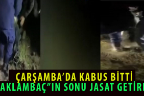 GECELERİ MAHALLEDE DOLAŞIYORDU, JANDARMA NOKTA OPERASYONLA YAKALADI 3 TB